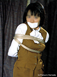 正月　緊縛 縛られた女性有名人たち - ライブドアブログ